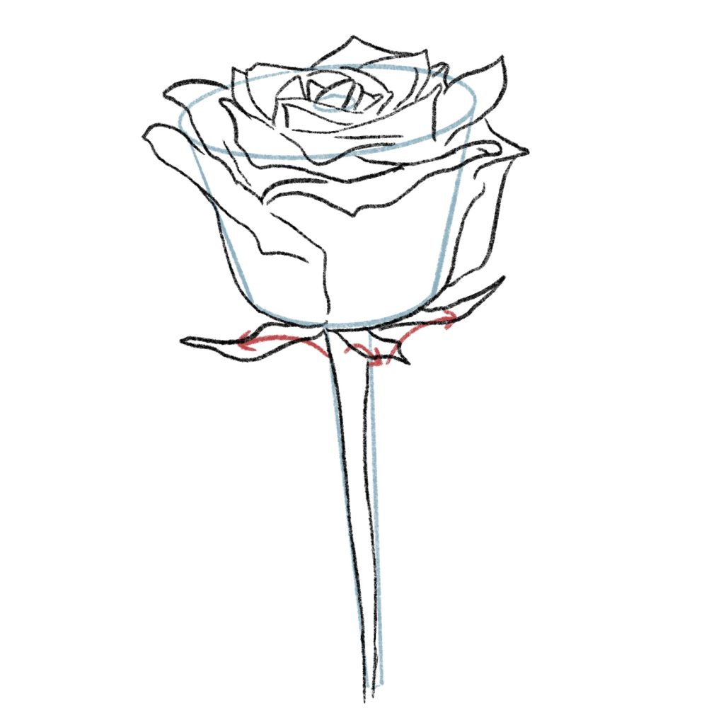 Tutorial su come disegnare facilmente le rose - Disegnare le rose passo  dopo passo